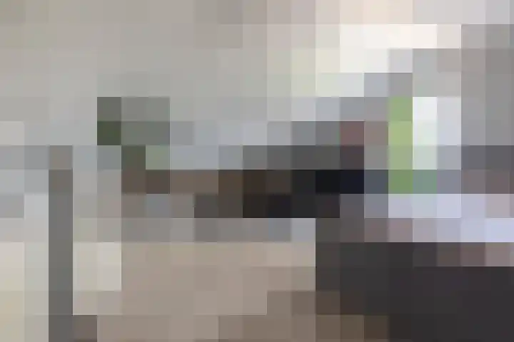 Braam 14 Nijkerk thumbnail 35