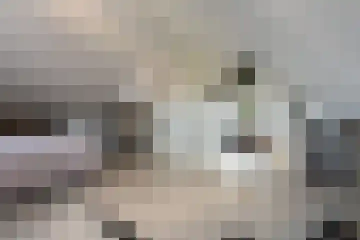 Braam 14 Nijkerk thumbnail 37