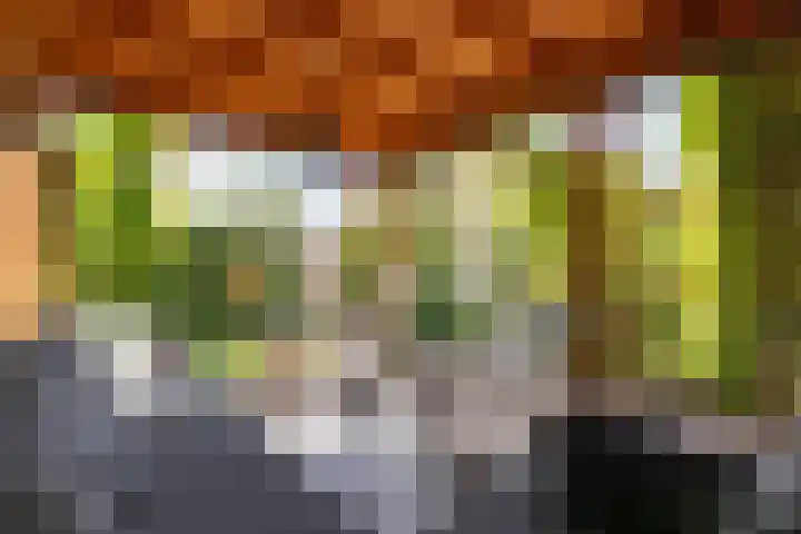 Braam 14 Nijkerk thumbnail 39