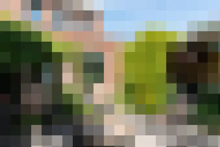 Braam 14 Nijkerk thumbnail 4