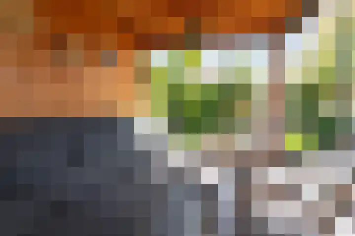 Braam 14 Nijkerk thumbnail 40