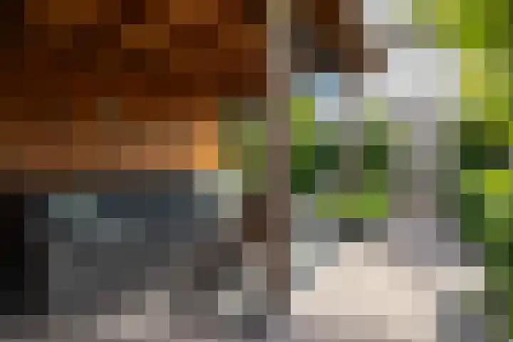 Braam 14 Nijkerk thumbnail 41