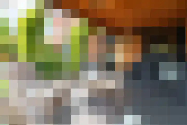 Braam 14 Nijkerk thumbnail 42