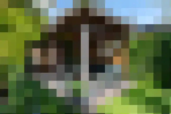 Braam 14 Nijkerk thumbnail 43