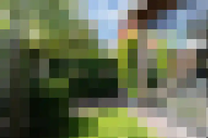 Braam 14 Nijkerk thumbnail 44