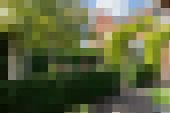 Braam 14 Nijkerk thumbnail 45