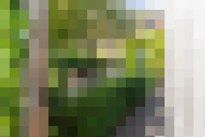 Braam 14 Nijkerk thumbnail 46