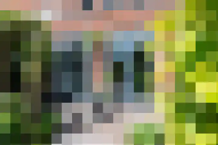 Braam 14 Nijkerk thumbnail 49