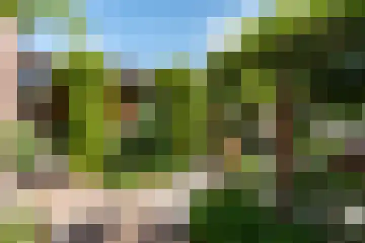 Braam 14 Nijkerk thumbnail 51