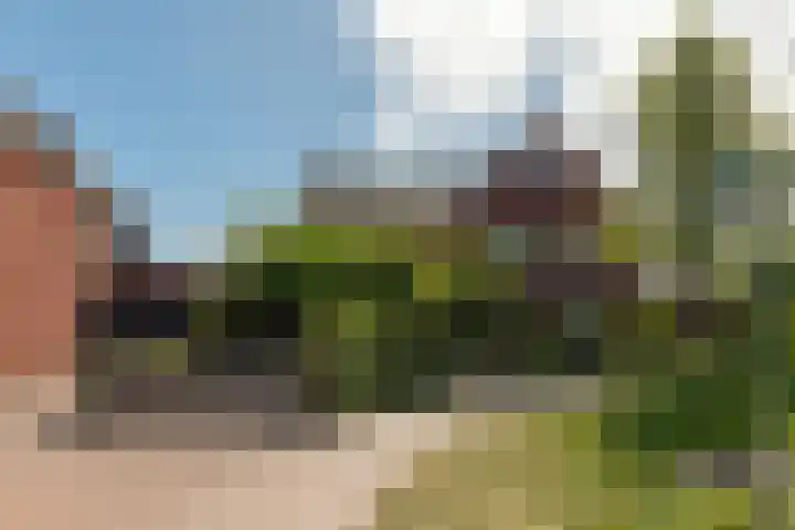 Braam 14 Nijkerk thumbnail 52