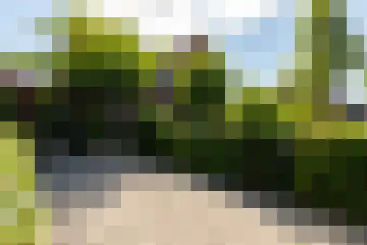Braam 14 Nijkerk thumbnail 53