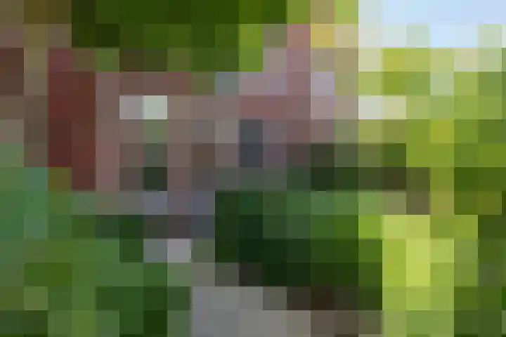 Braam 14 Nijkerk thumbnail 54