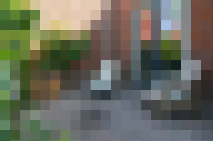 Braam 14 Nijkerk thumbnail 56