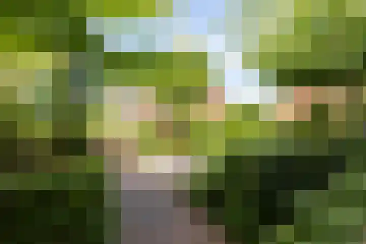 Braam 14 Nijkerk thumbnail 57