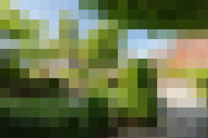 Braam 14 Nijkerk thumbnail 58