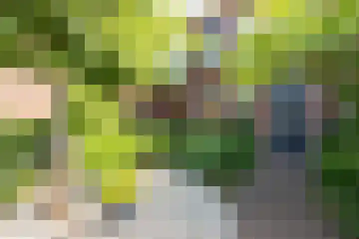 Braam 14 Nijkerk thumbnail 6