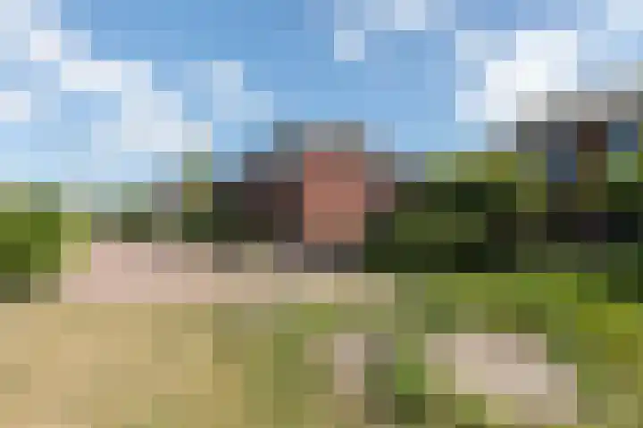 Braam 14 Nijkerk thumbnail 61