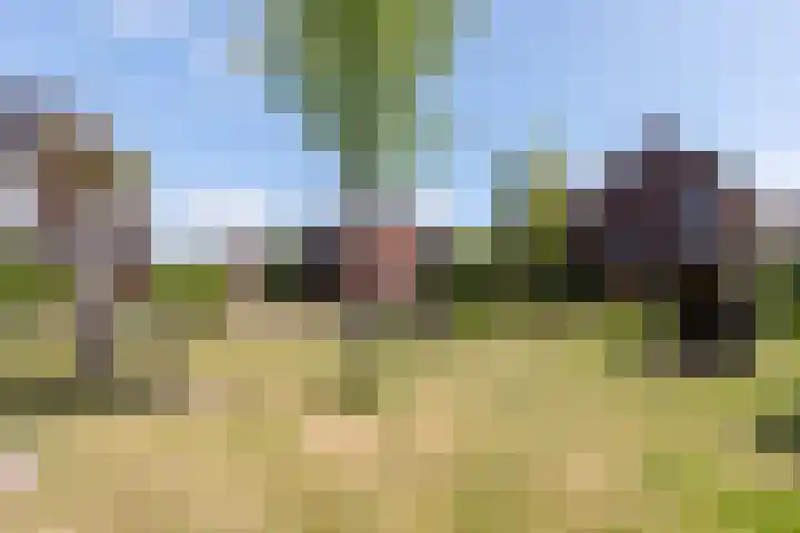 Braam 14 Nijkerk thumbnail 64