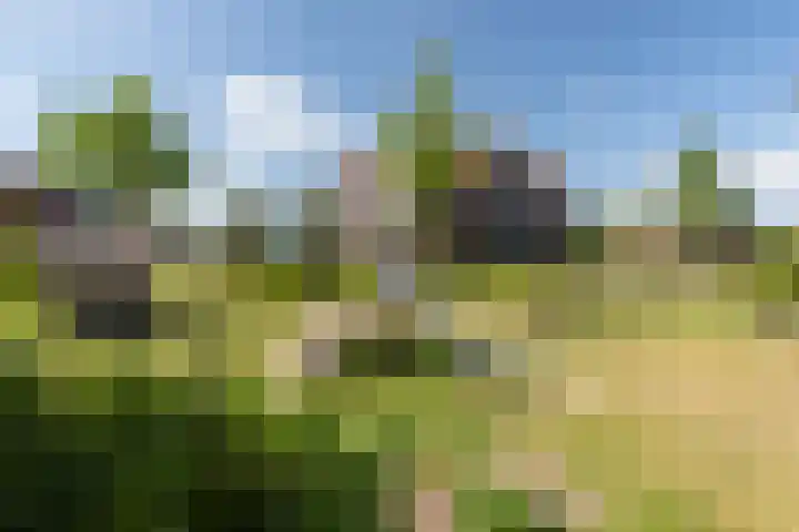 Braam 14 Nijkerk thumbnail 65
