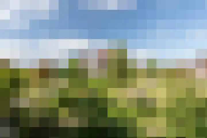 Braam 14 Nijkerk thumbnail 66