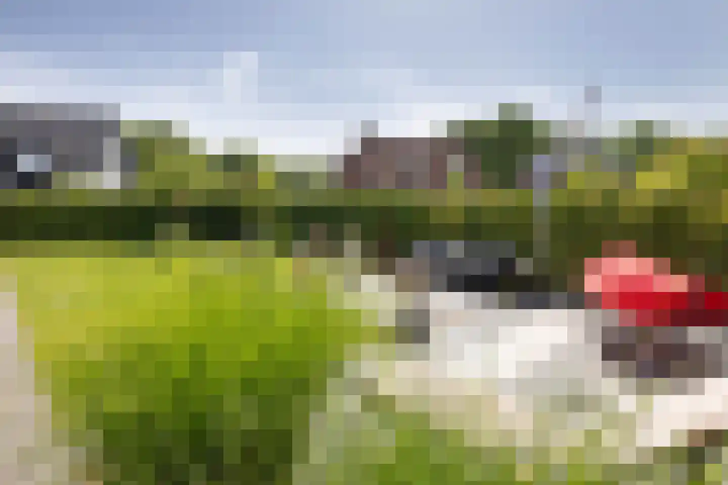 Braam 3 Hengelo thumbnail 38