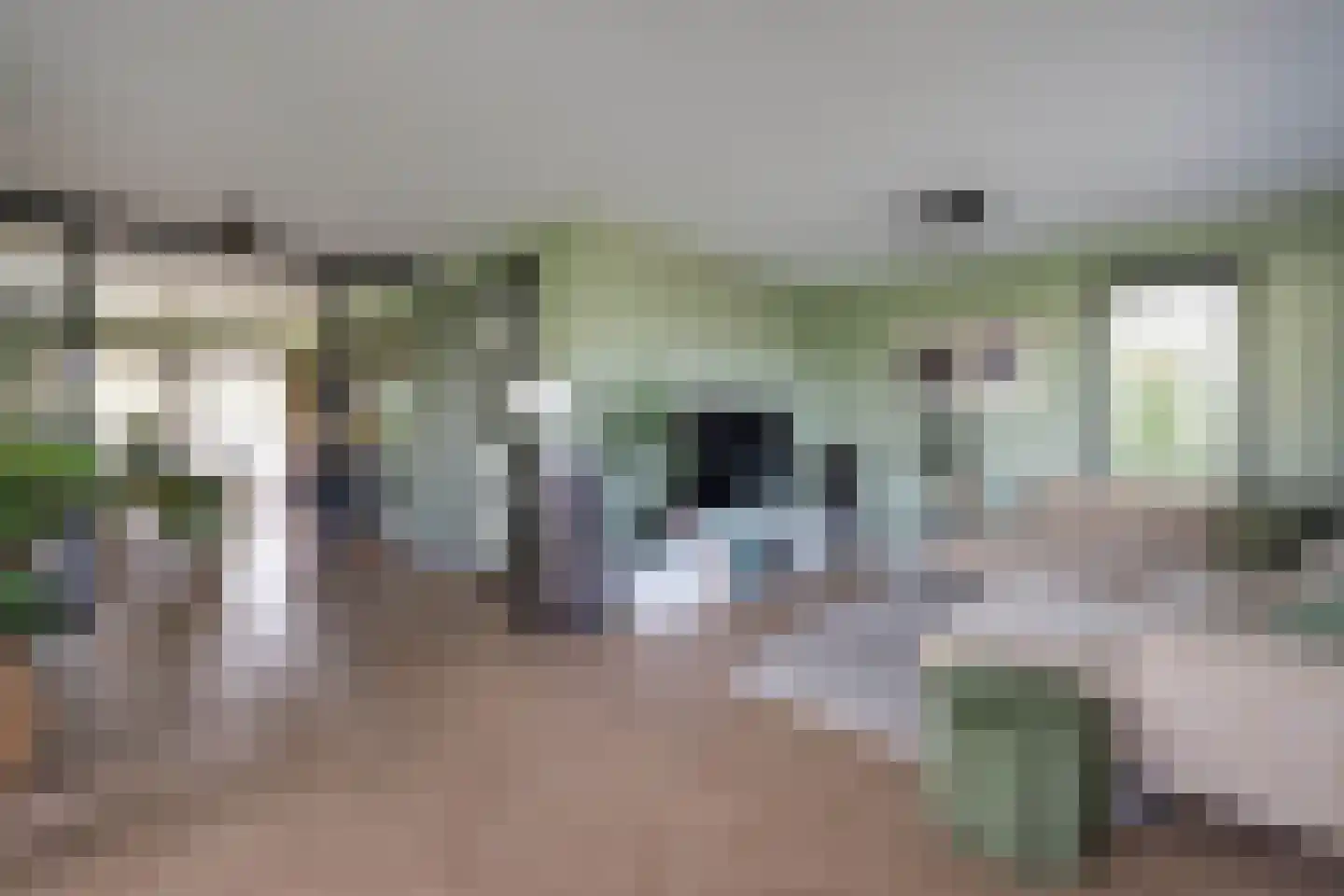 Braam 3 Hengelo thumbnail 4