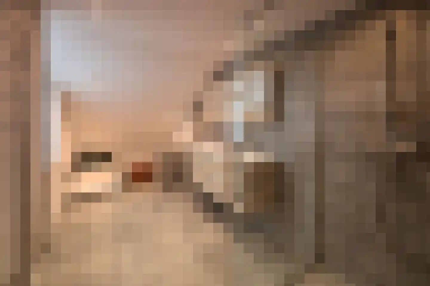 Braam 33 Huizen thumbnail 17