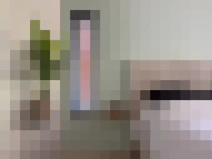 Braamberg 106 Capelle aan den IJssel thumbnail 15