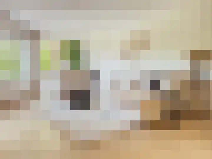 Braamberg 106 Capelle aan den IJssel thumbnail 5