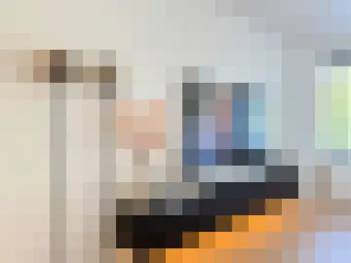 Braamberg 106 Capelle aan den IJssel thumbnail 8