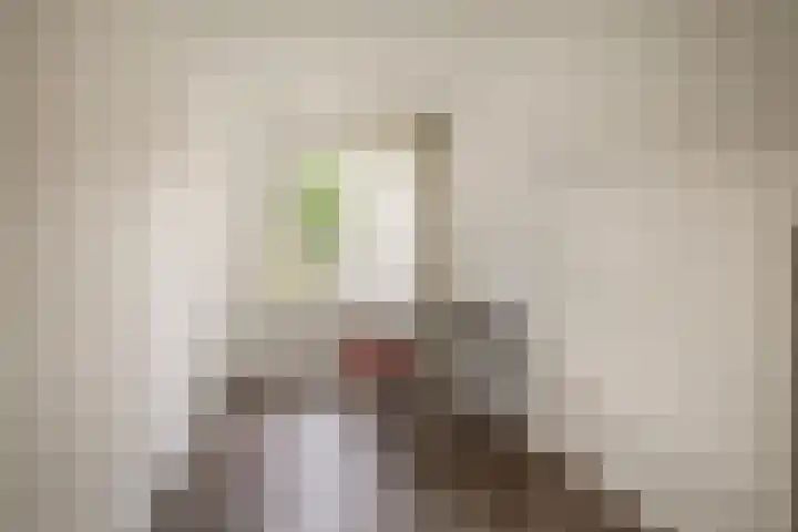 Braamberg 116 Capelle aan den IJssel thumbnail 30