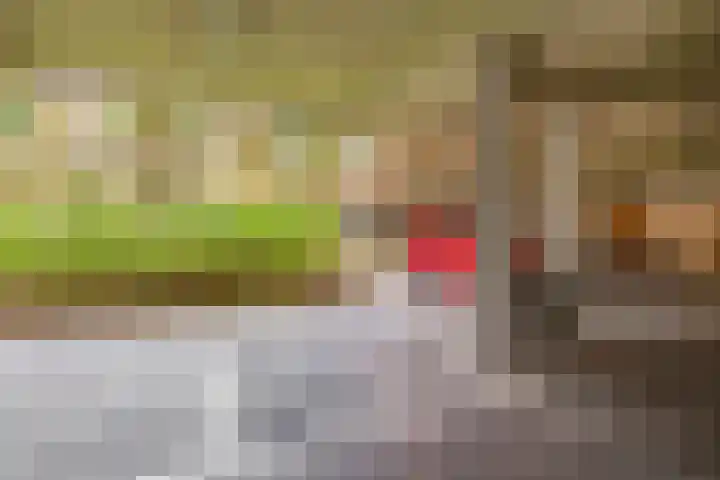 Braamberg 116 Capelle aan den IJssel thumbnail 32