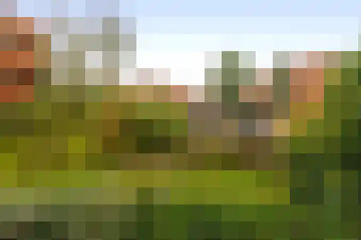 Braamberg 116 Capelle aan den IJssel thumbnail 33