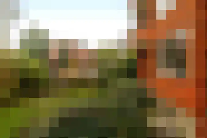 Braamberg 116 Capelle aan den IJssel thumbnail 34