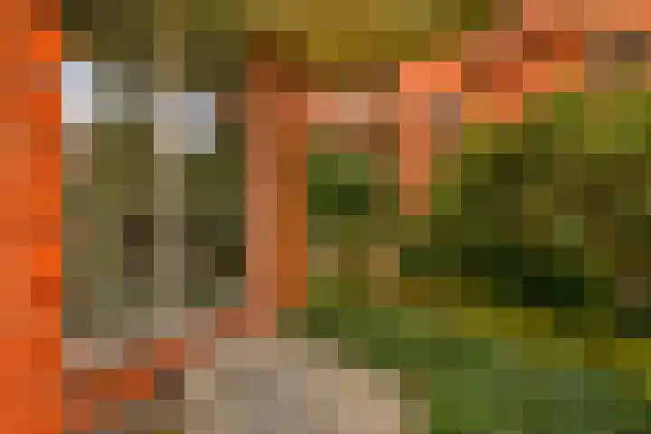 Braamberg 116 Capelle aan den IJssel thumbnail 35