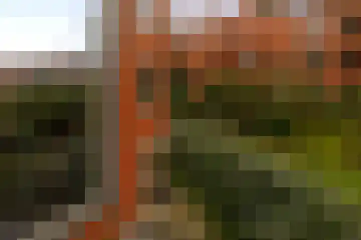 Braamberg 116 Capelle aan den IJssel thumbnail 36
