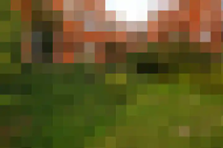 Braamberg 116 Capelle aan den IJssel thumbnail 39