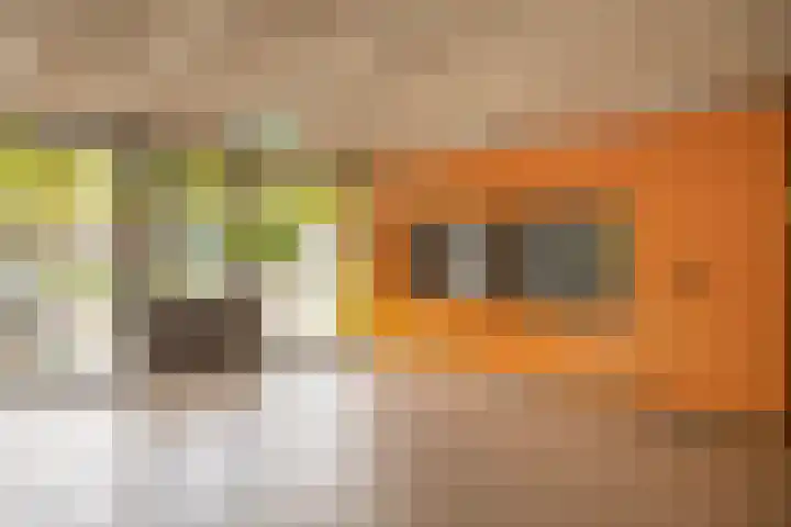 Braamberg 116 Capelle aan den IJssel thumbnail 7