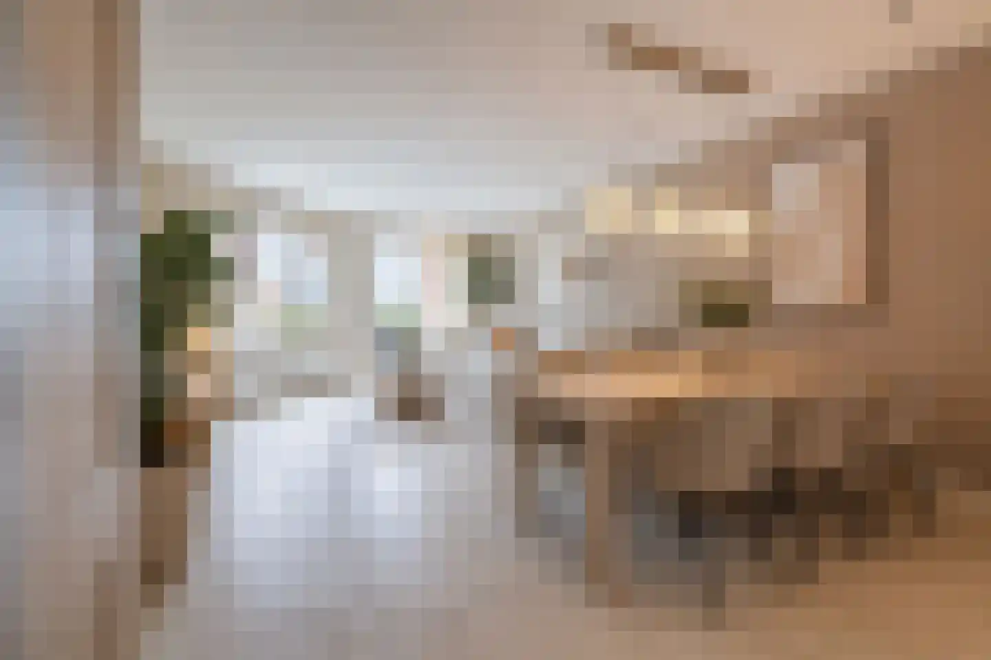 Braamberg 158 Capelle aan den IJssel thumbnail 4