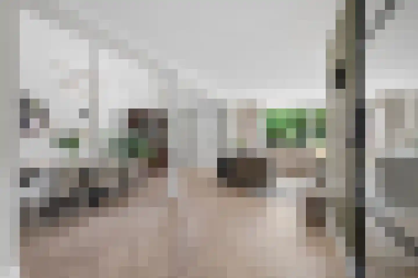 Braamberg 4 Ede thumbnail 14