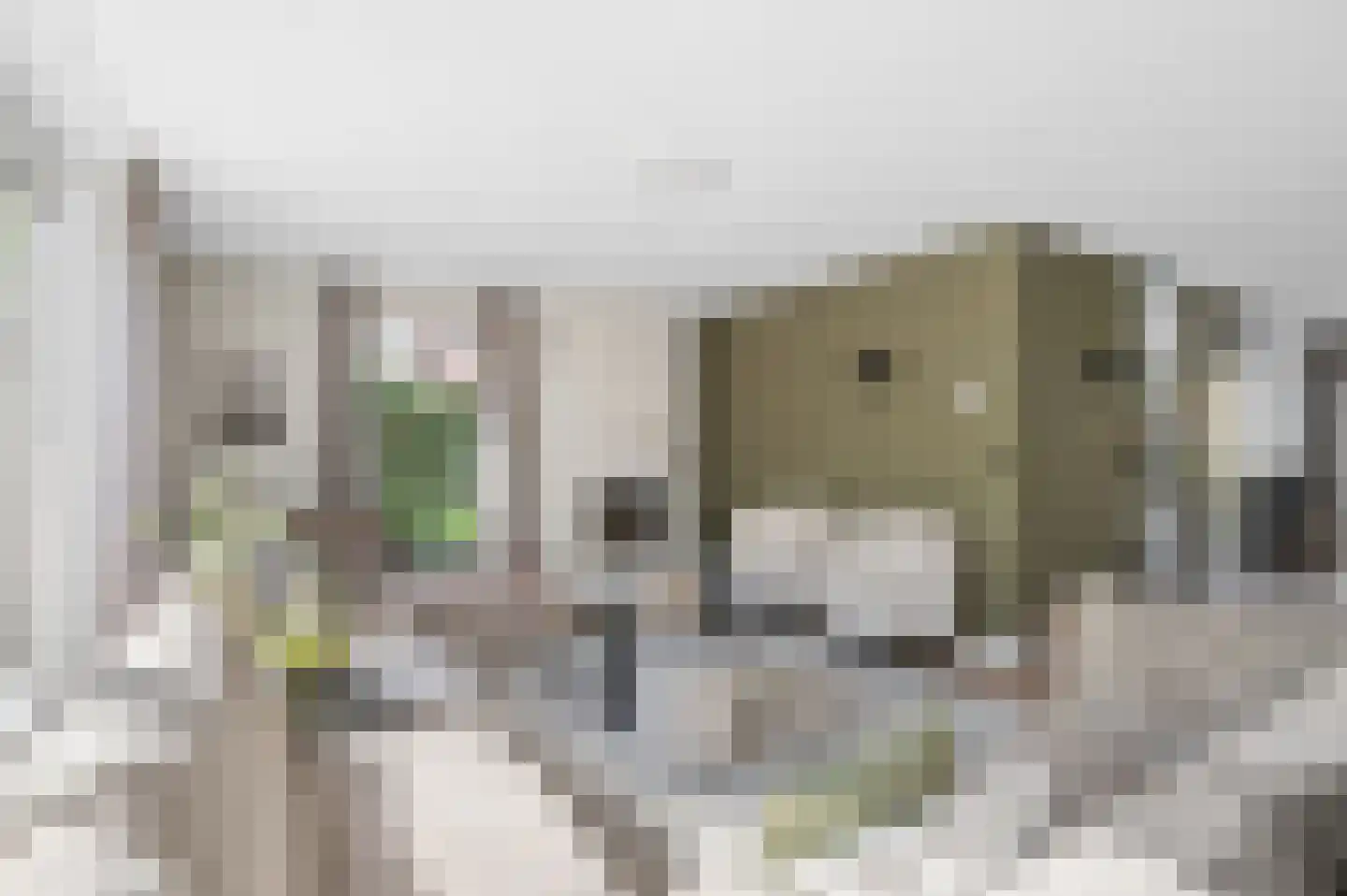 Braamberg 4 Ede thumbnail 4