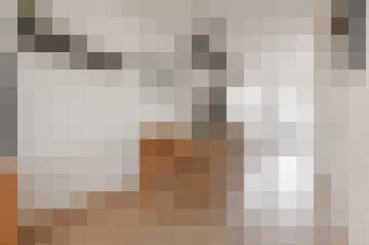 Braamberg 8 Zoetermeer thumbnail 11