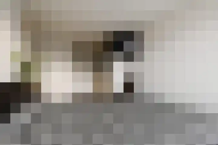 Braamberg 8 Zoetermeer thumbnail 37