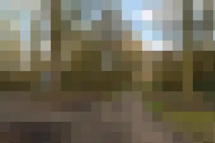 Braamberg 8 Zoetermeer thumbnail 46