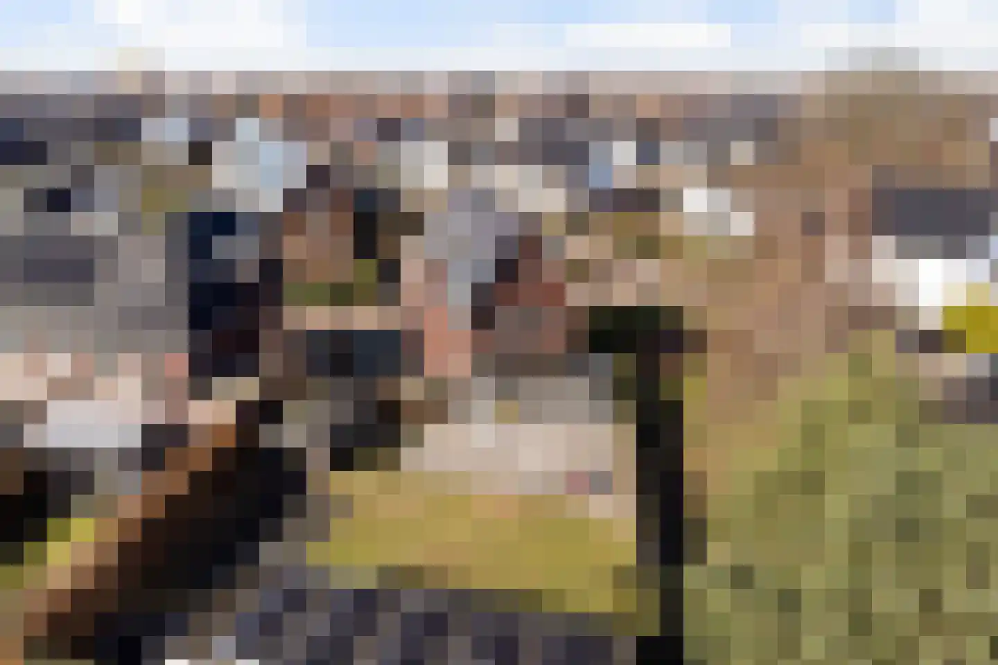 Braambergerhout 39 Harderwijk thumbnail 76