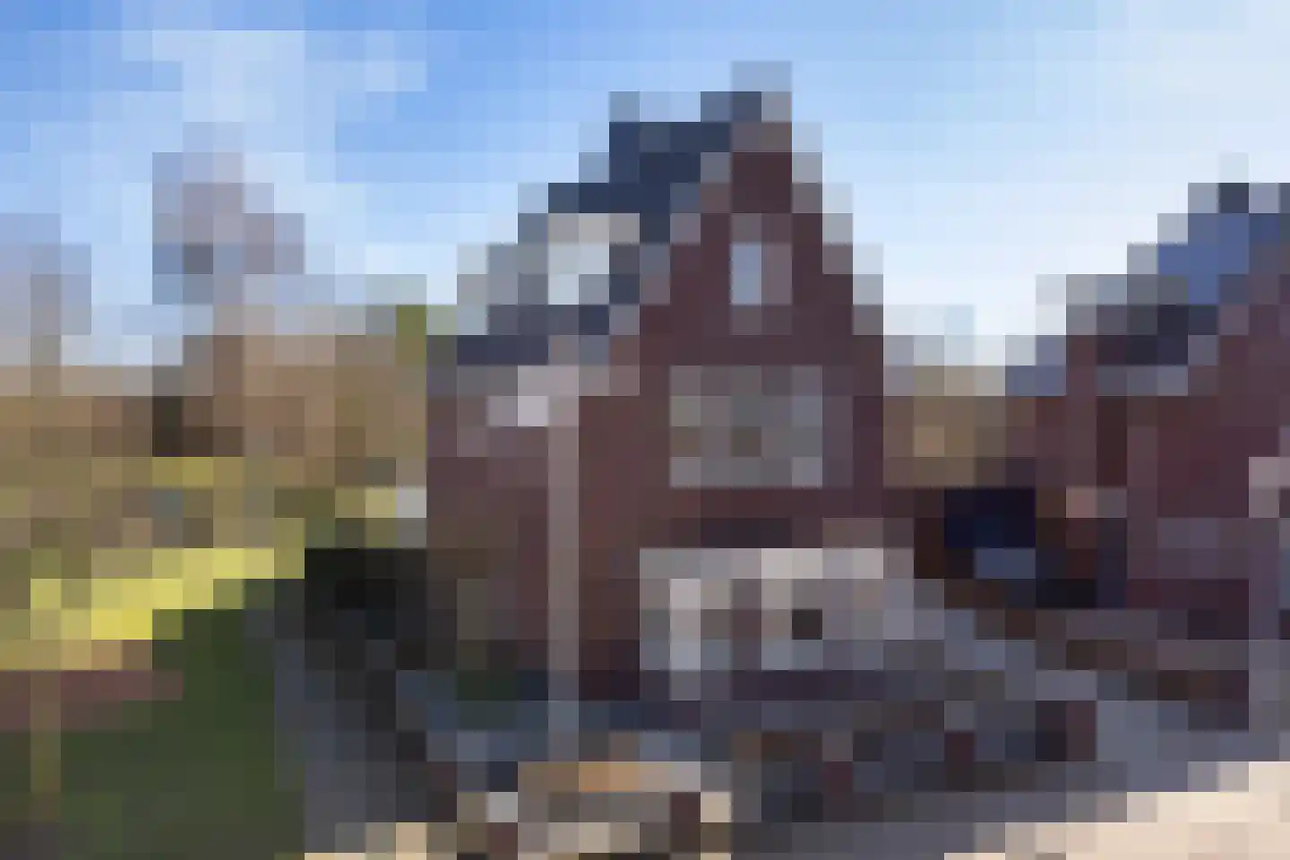 Braambergerhout 39 Harderwijk thumbnail 77