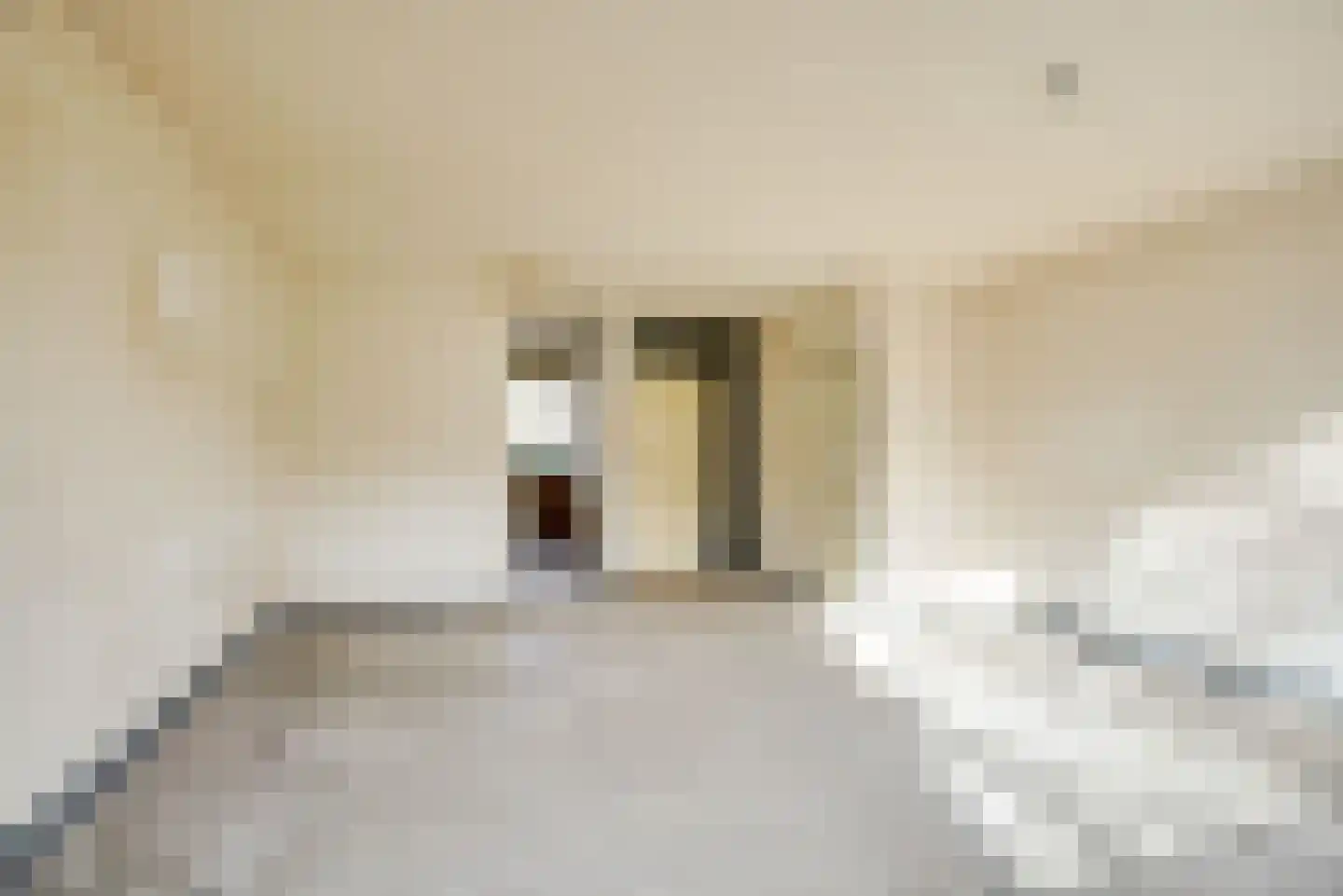 Braambes 1 Leiden thumbnail 13