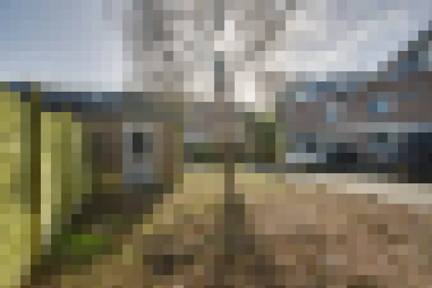 Braambes 1 Leiden thumbnail 15