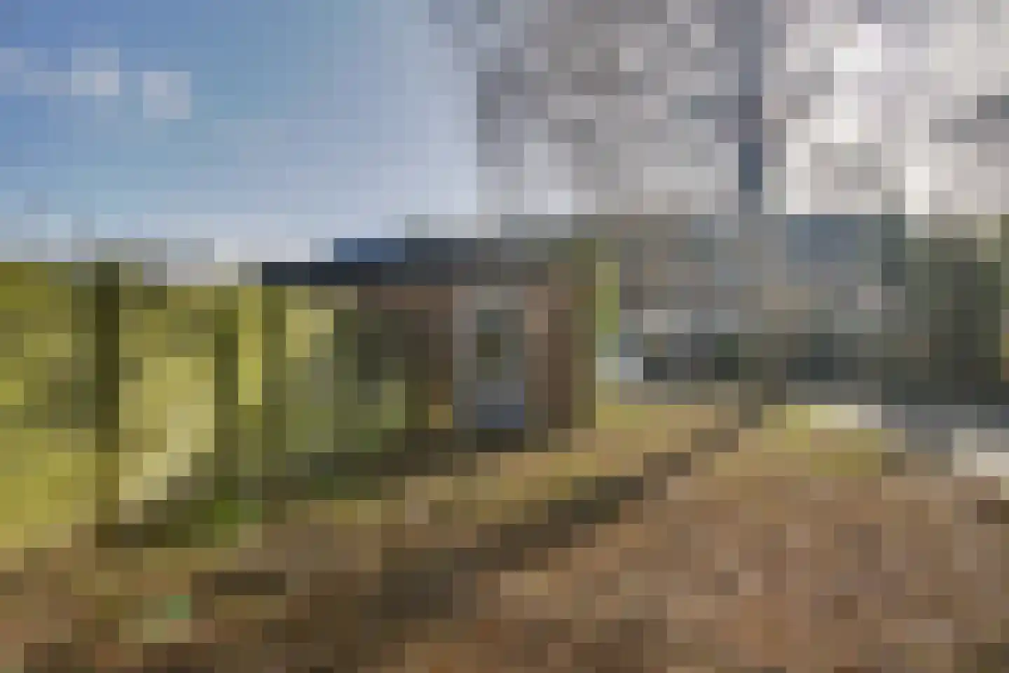 Braambes 1 Leiden thumbnail 16