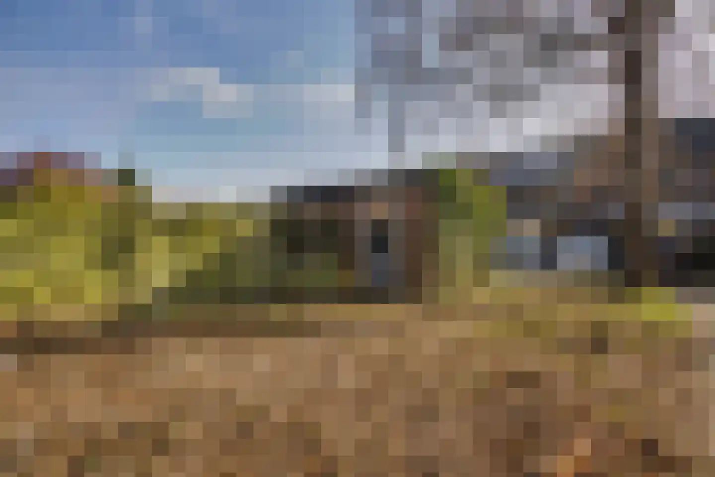 Braambes 1 Leiden thumbnail 17